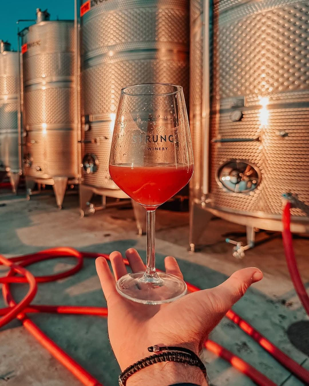 Proiectul Imagina Prima