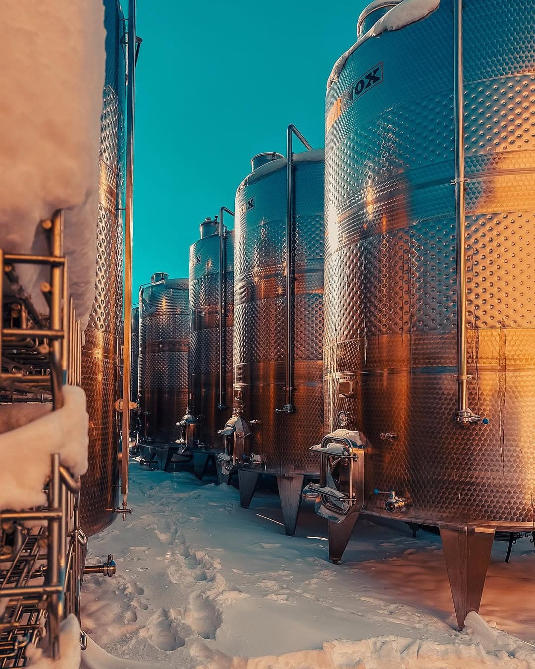 Titlu Proiect Placeholder