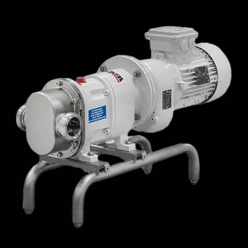 Pompă rotativă cu lobi TLS, cu cuplare directă Inoxpa 2