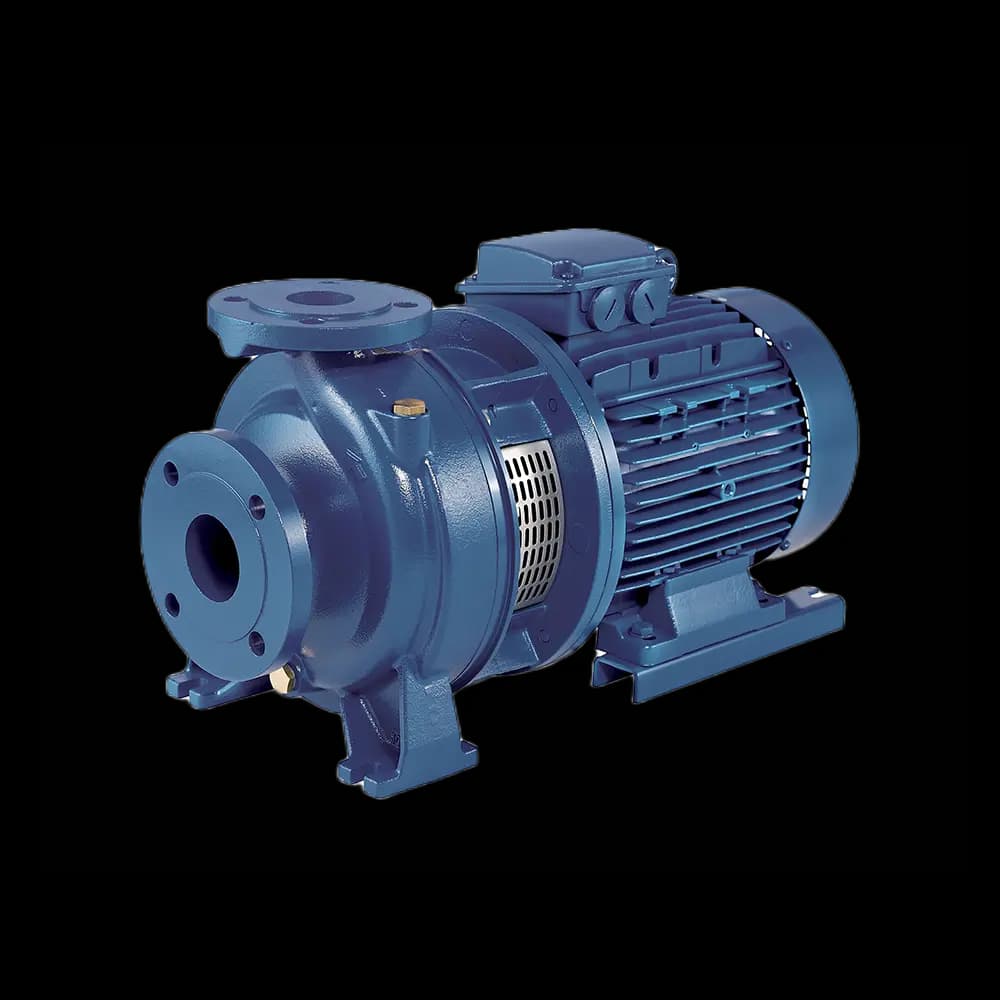 Pompe centrifuge 3D Ebara 5